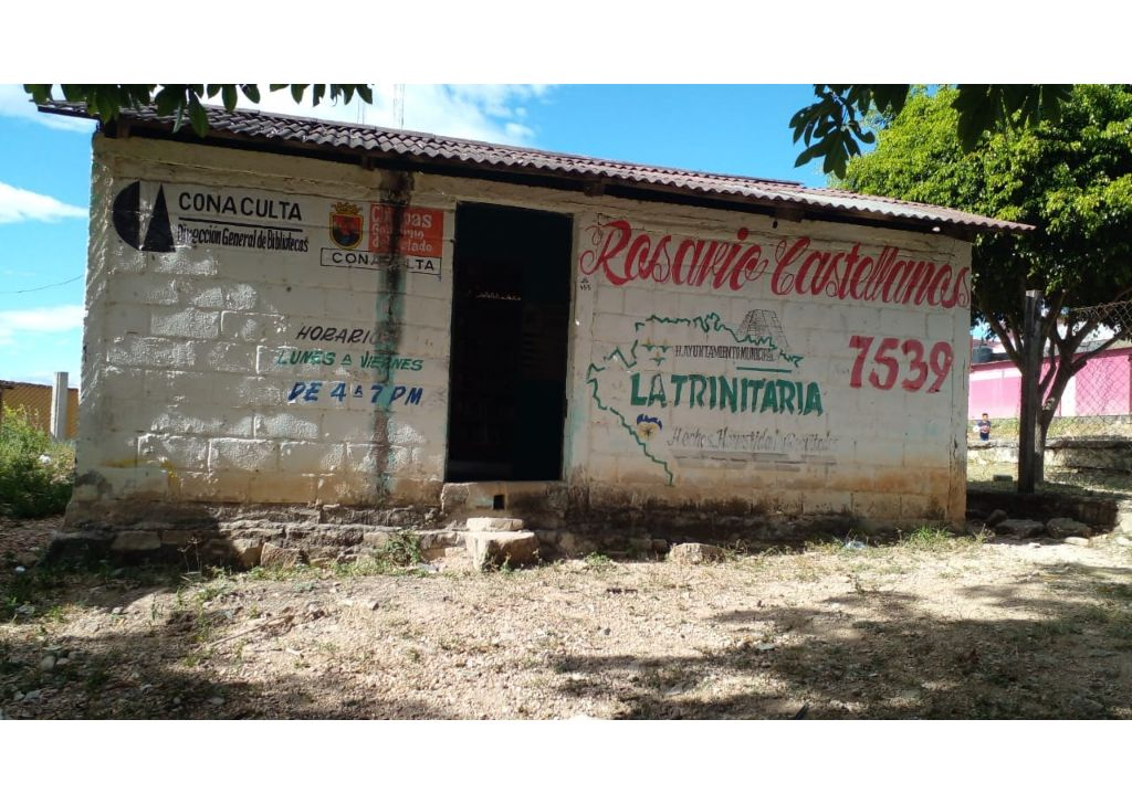 imagen2