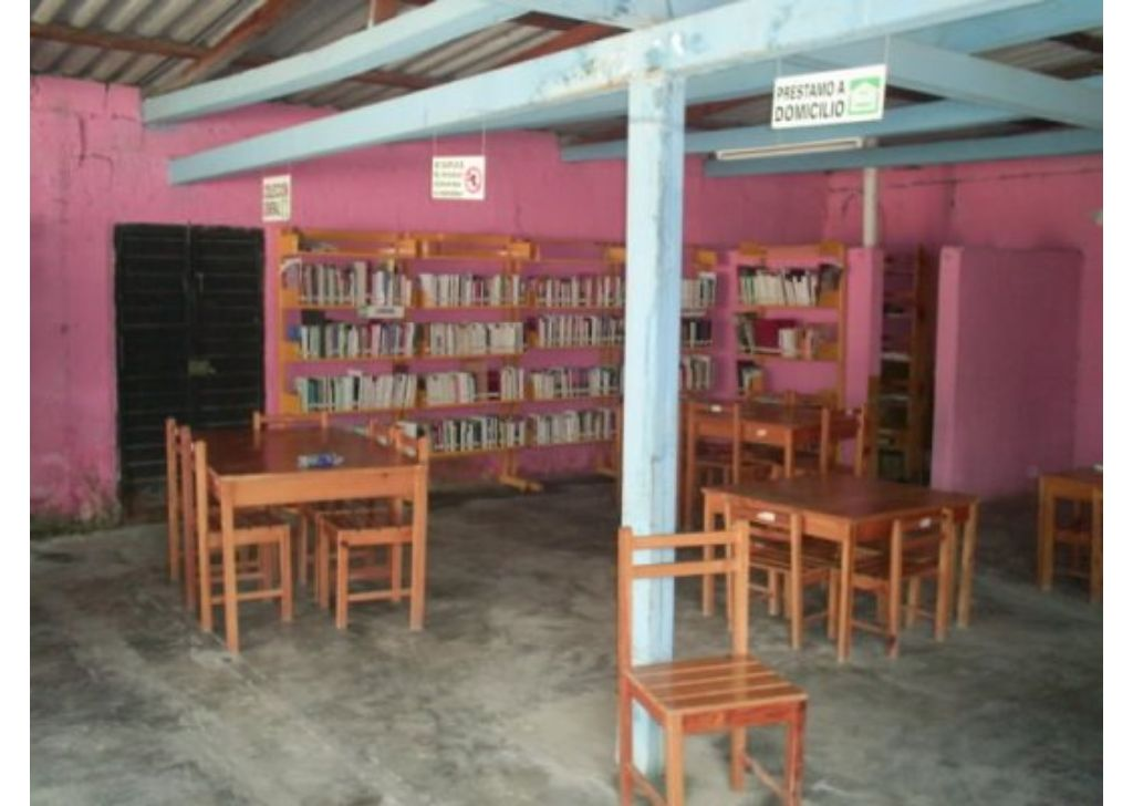 imagen3