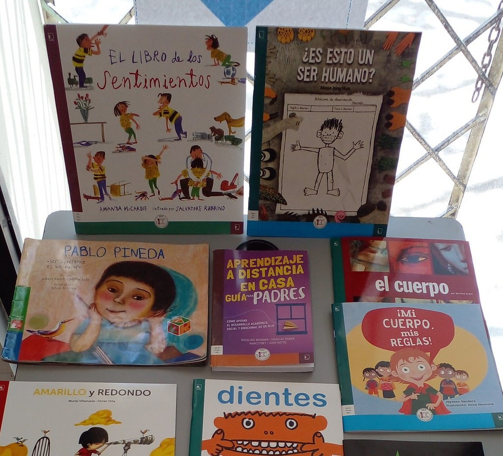 imagen1