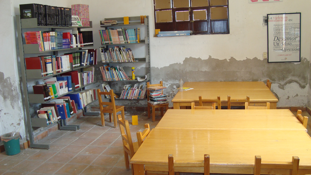 imagen1