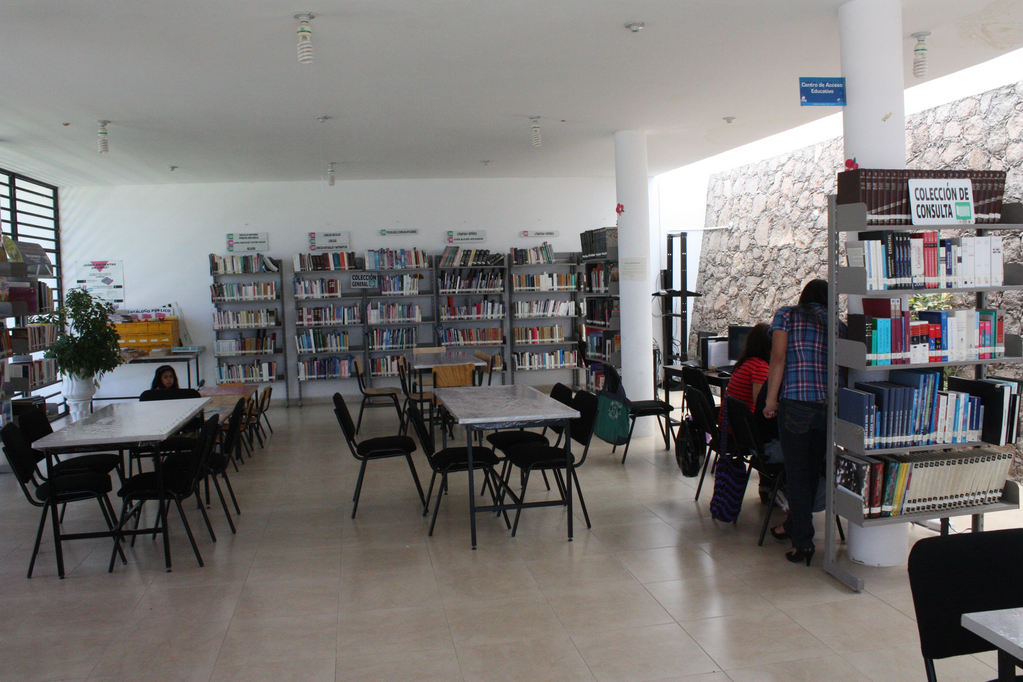 imagen1