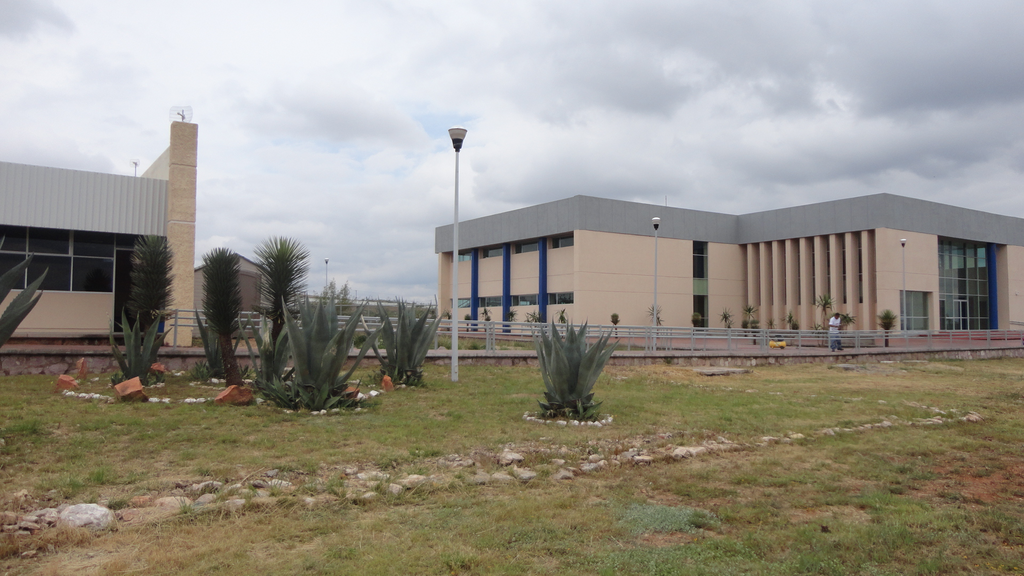 imagen2