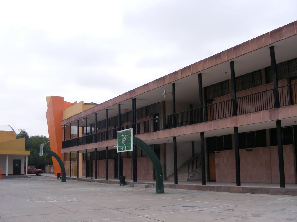 imagen0