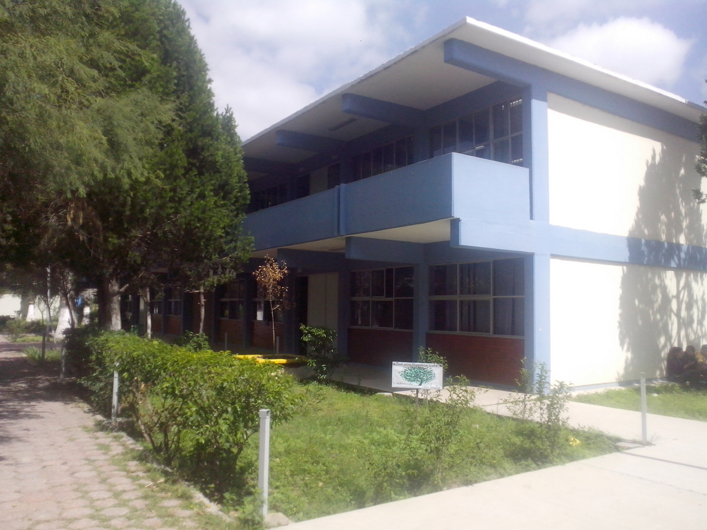 imagen2