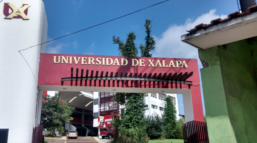 imagen2