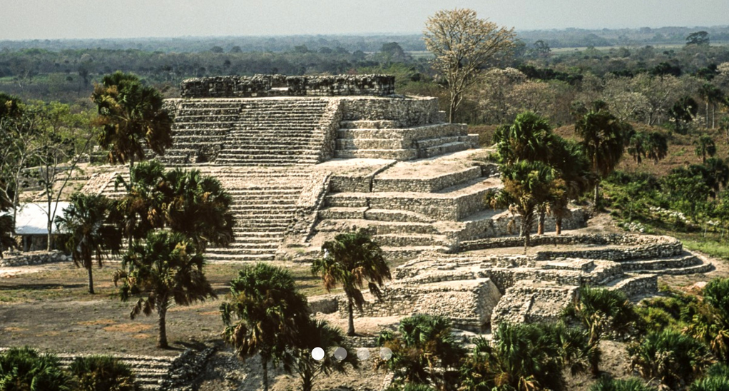 imagen3