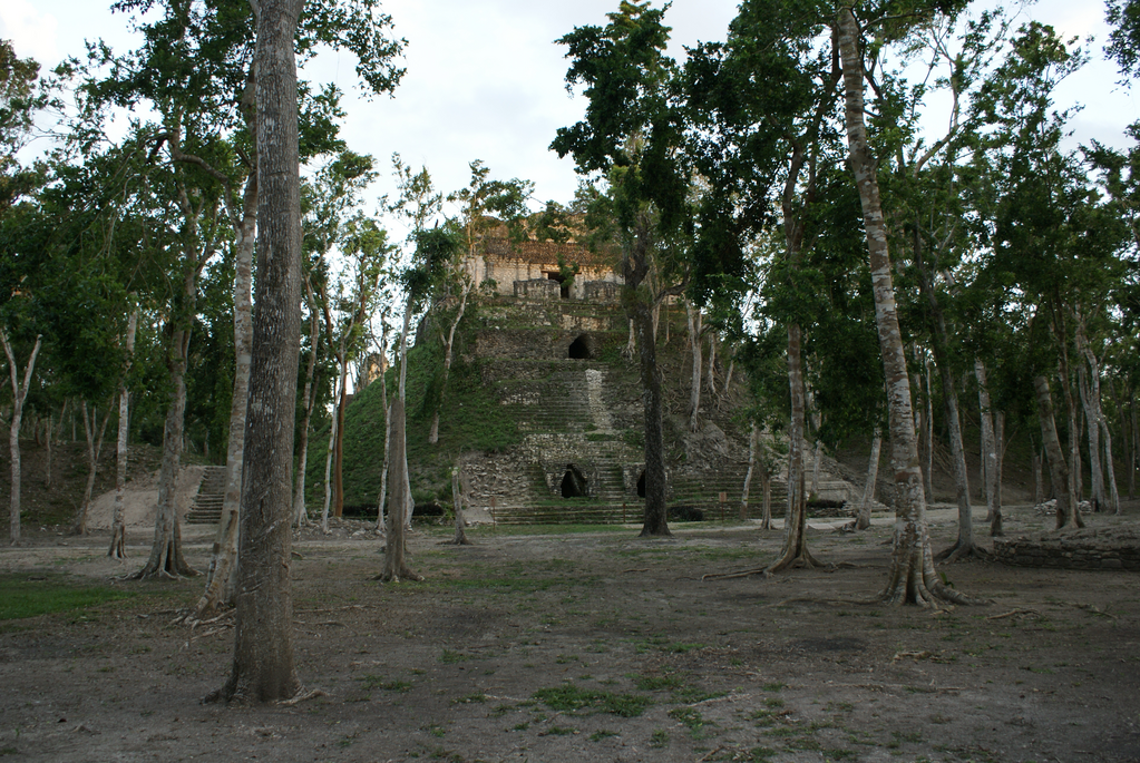 imagen2