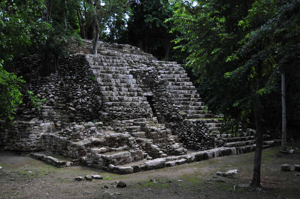 imagen3