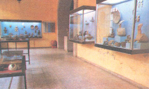 imagen2