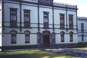 imagen3