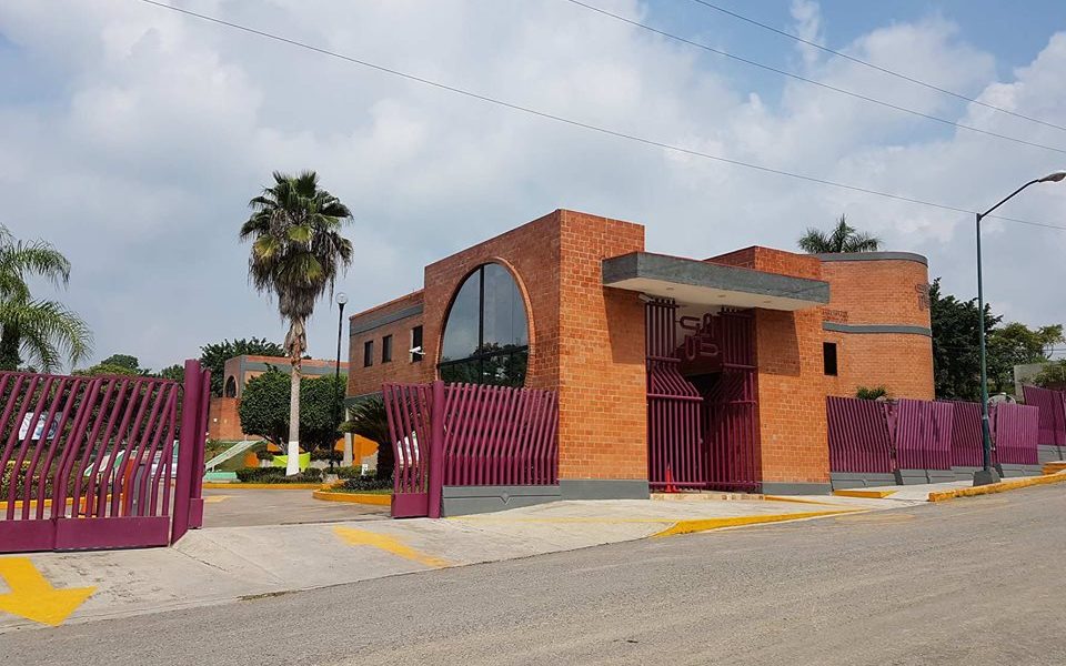 imagen1