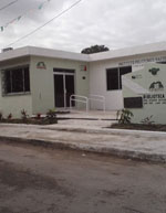 imagen1