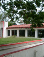 imagen3
