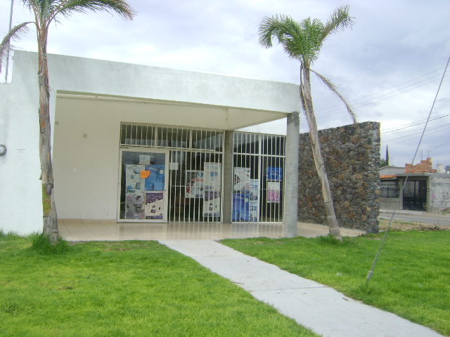 imagen3