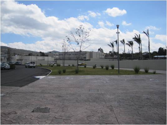 imagen1