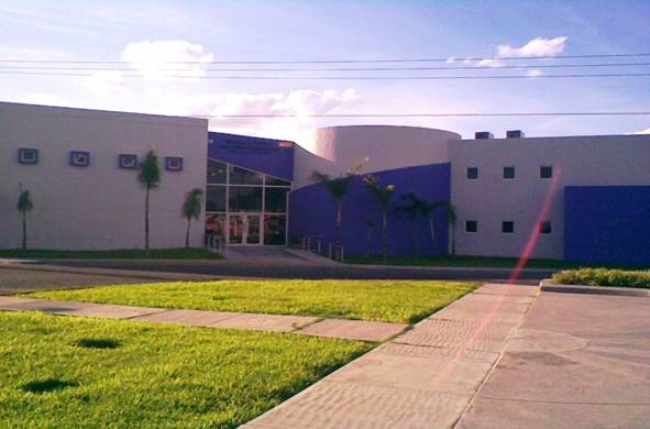 imagen1