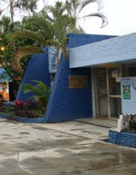imagen1