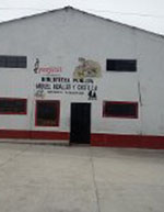 imagen1
