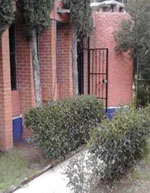 imagen1