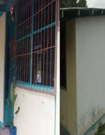 imagen1