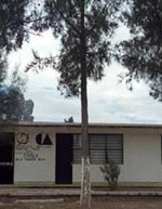 imagen1