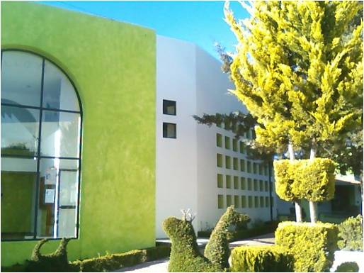 imagen3
