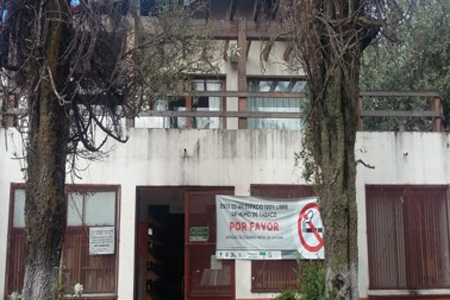 imagen1