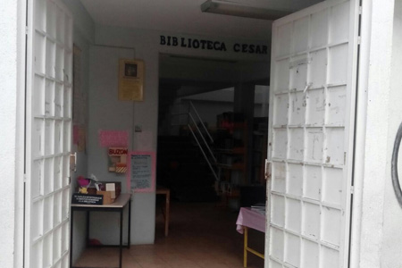 imagen1