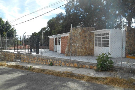 imagen2