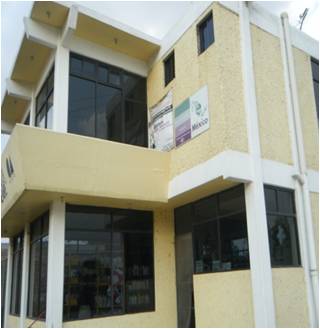 imagen3