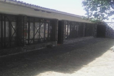 imagen1