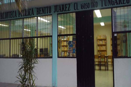 imagen2
