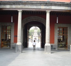 imagen1