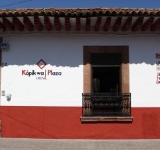 imagen1