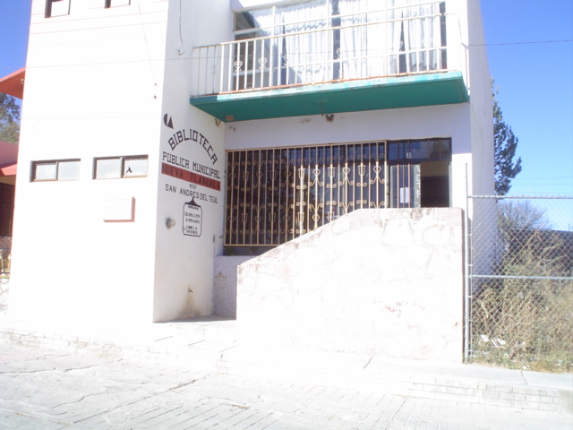 imagen3