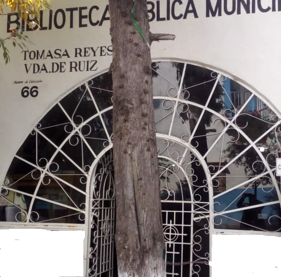 imagen2