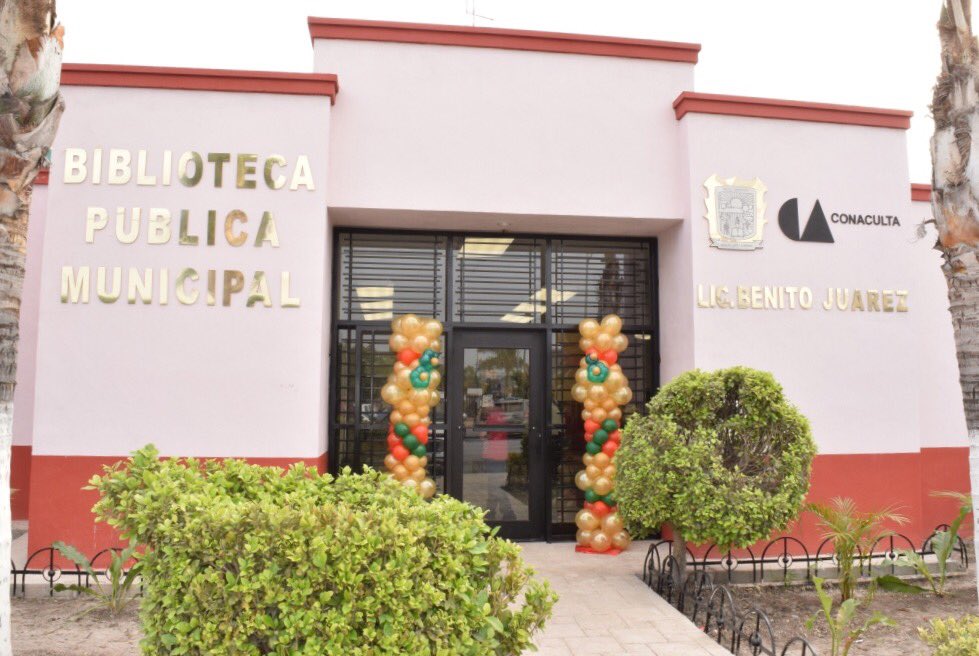 imagen1