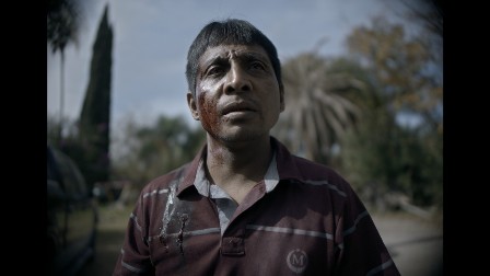 imagen1
