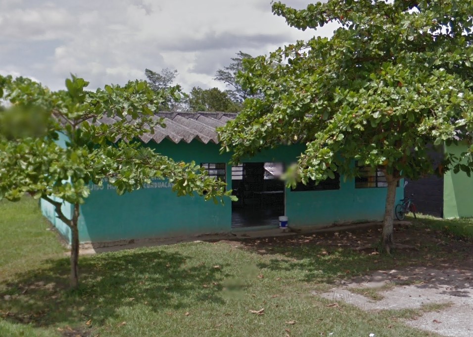 imagen1