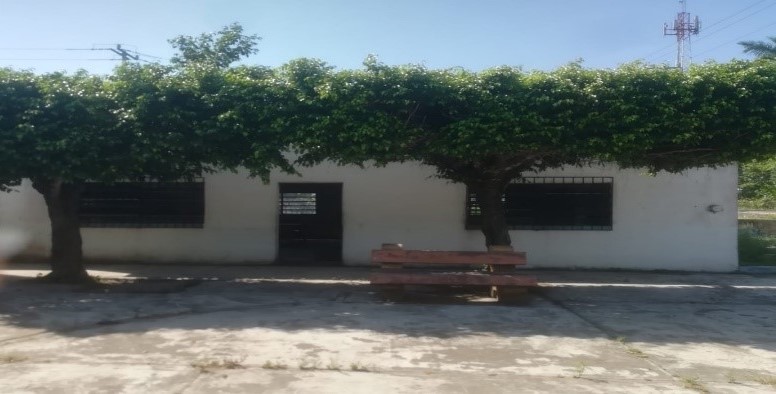 imagen1