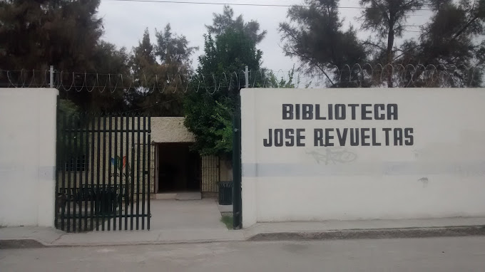 imagen1