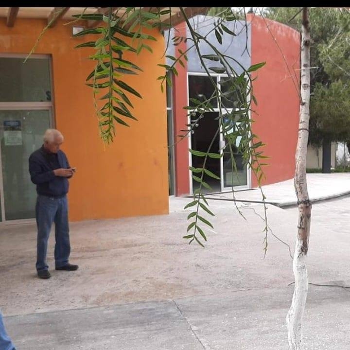 imagen3