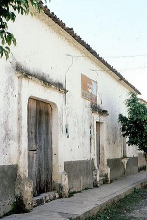 imagen1