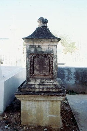 imagen1