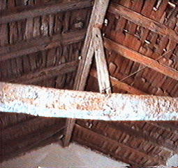 imagen0