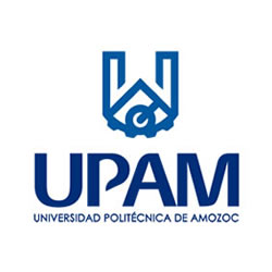 imagen1