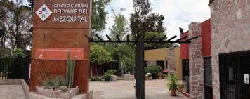 imagen1