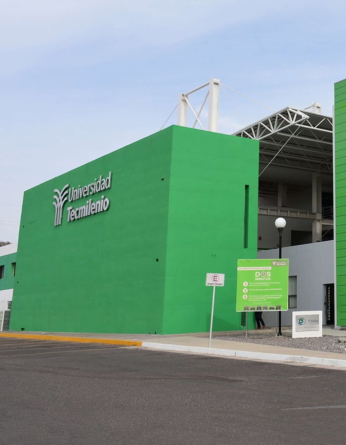 imagen1