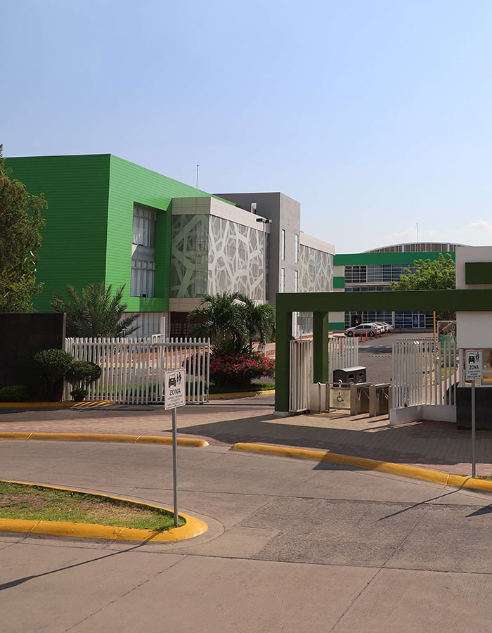 imagen1