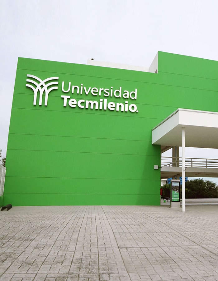 imagen1